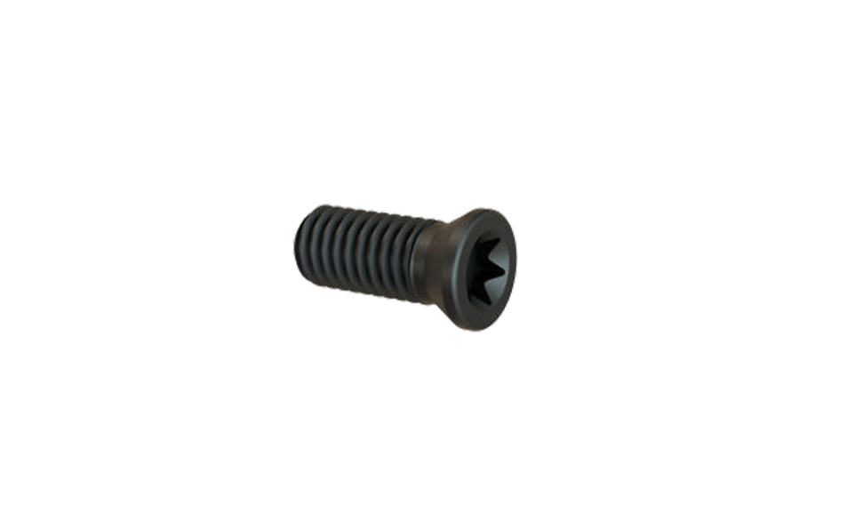 Torx Cıvataları